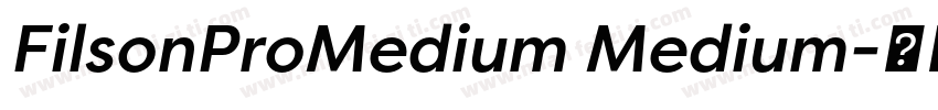 FilsonProMedium Medium字体转换